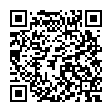 QR code for 293313
