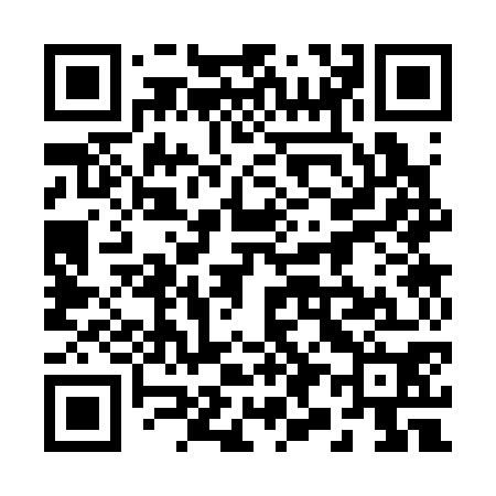 QR code for 293370