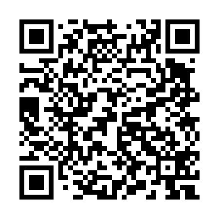 QR code for 293419