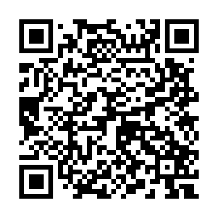 QR code for 293507