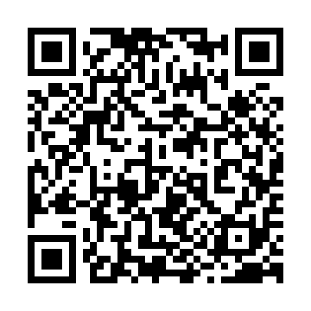 QR code for 293811