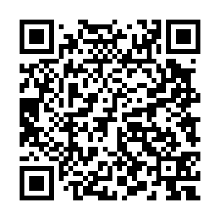 QR code for 294031