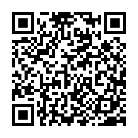 QR code for 294161