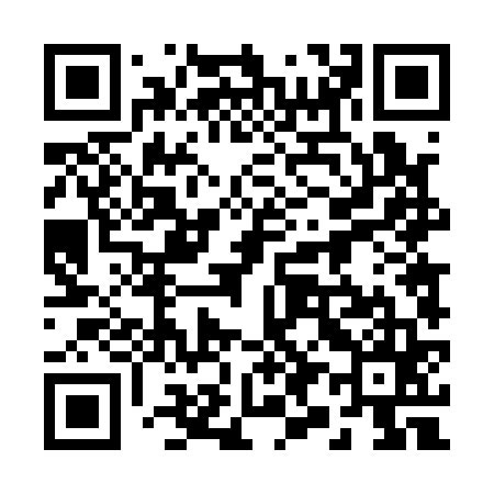 QR code for 294165