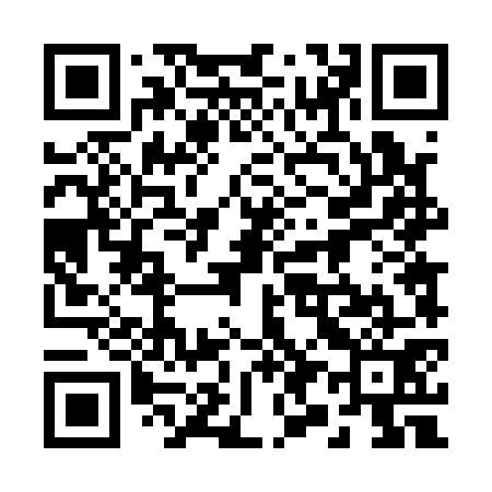 QR code for 294171