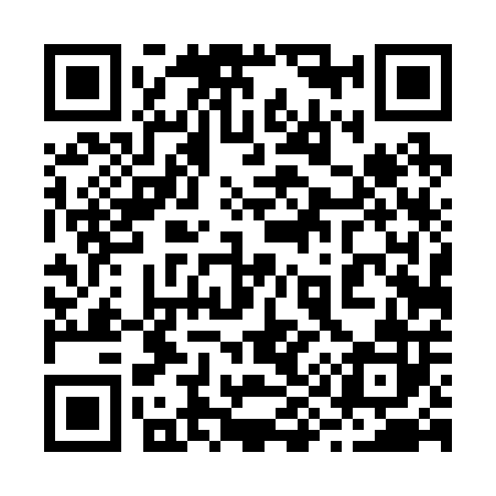 QR code for 294202