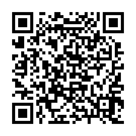 QR code for 294217