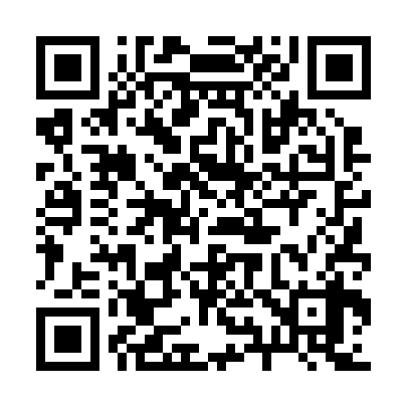 QR code for 294238