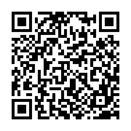 QR code for 294256