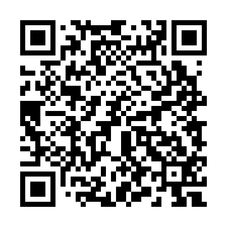 QR code for 294313