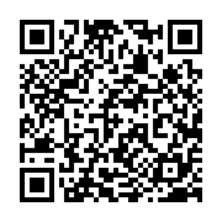QR code for 294315