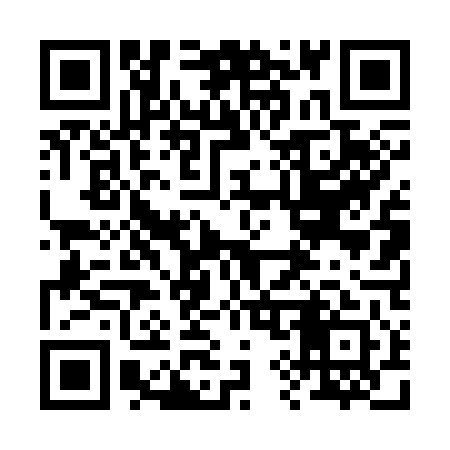 QR code for 294341