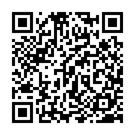 QR code for 294355