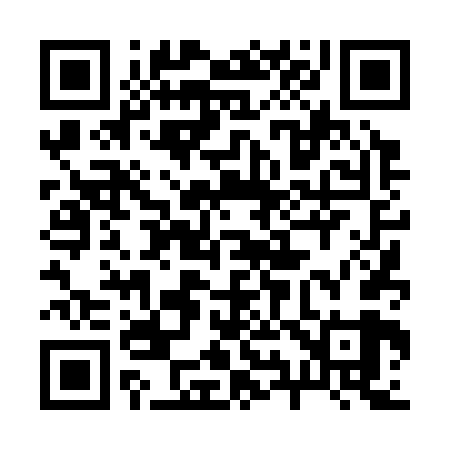 QR code for 294369