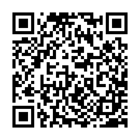 QR code for 294383