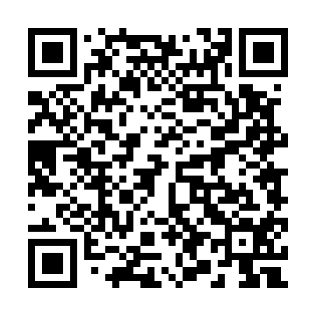 QR code for 294514