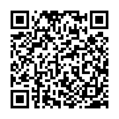QR code for 294533