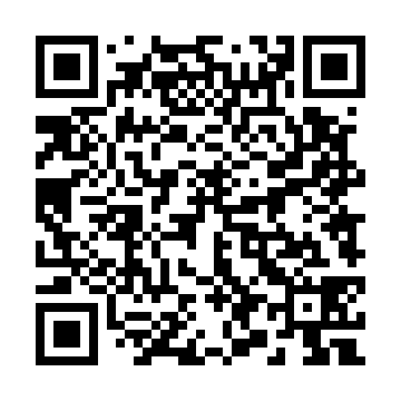 QR code for 294538