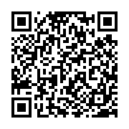 QR code for 294617