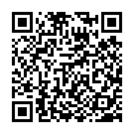 QR code for 294618