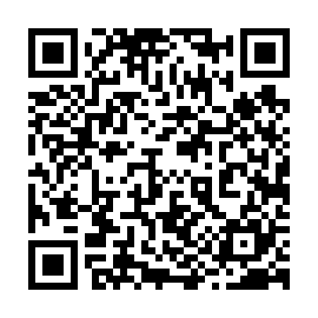 QR code for 294625