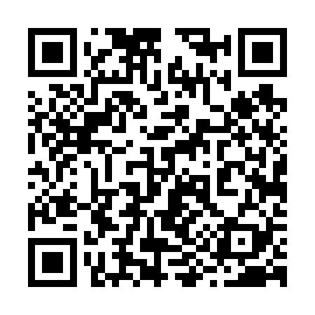 QR code for 294629