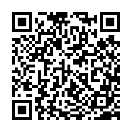QR code for 294662