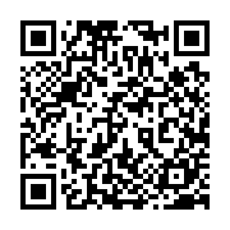 QR code for 294705