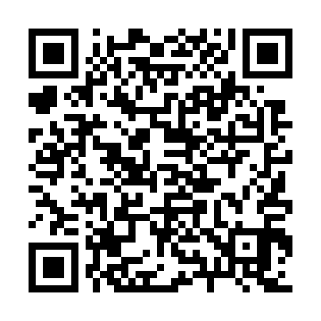 QR code for 294711