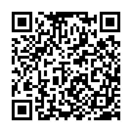 QR code for 294753
