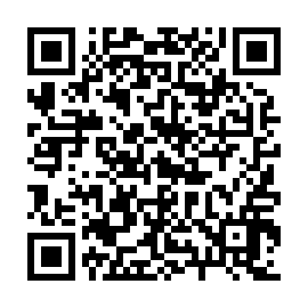 QR code for 294816