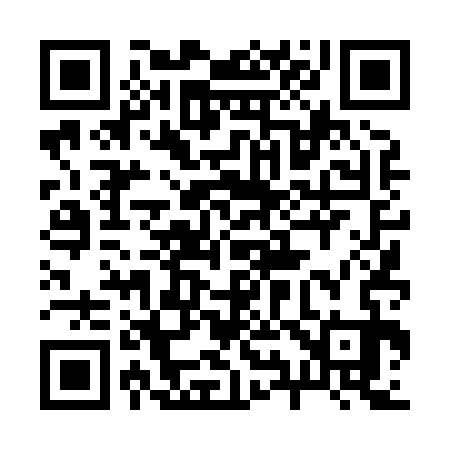 QR code for 294833