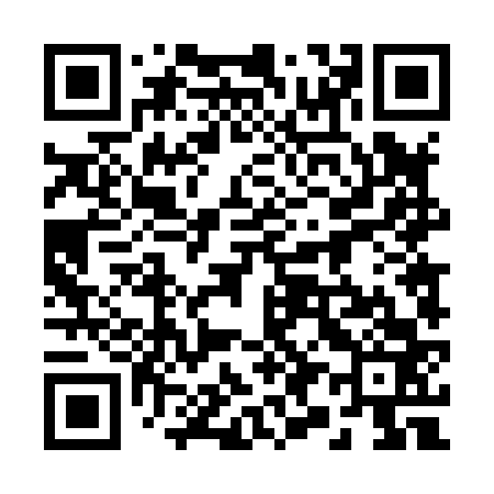 QR code for 294863