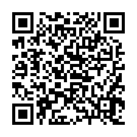 QR code for 294866