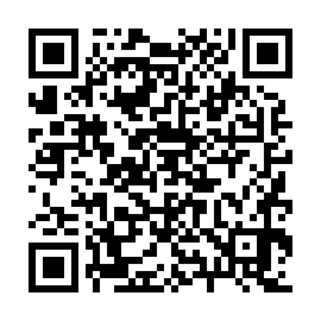 QR code for 294870