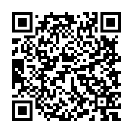 QR code for 294877