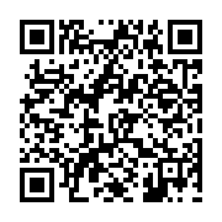 QR code for 294905