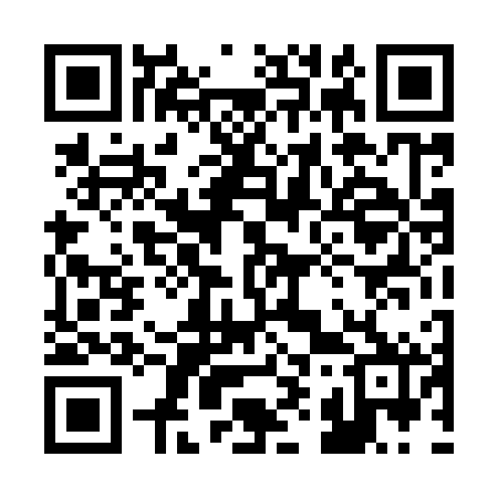 QR code for 294962