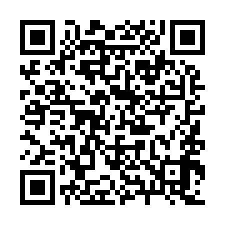 QR code for 294999