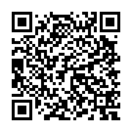 QR code for 295018