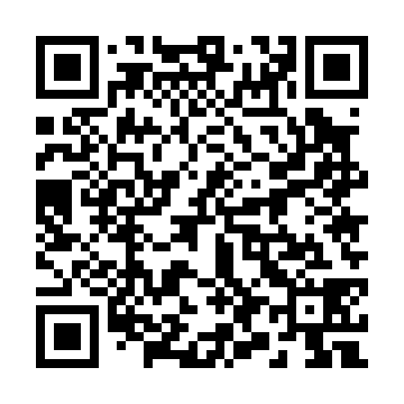 QR code for 295038