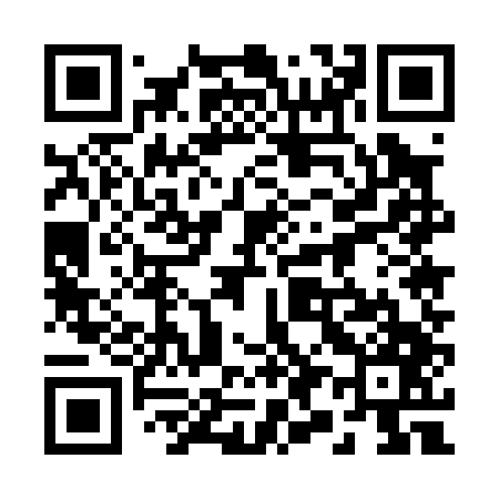 QR code for 295047