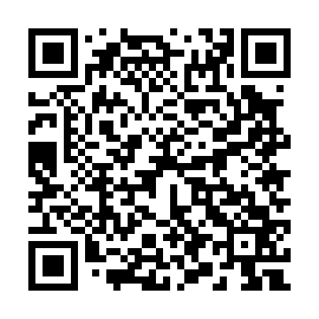 QR code for 295063