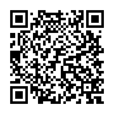 QR code for 295119