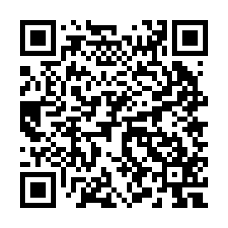 QR code for 295217