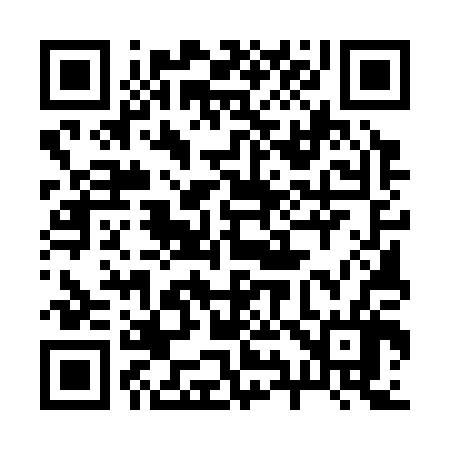 QR code for 295306