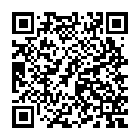 QR code for 295316