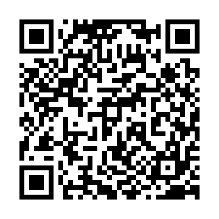 QR code for 295317