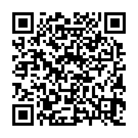 QR code for 295331