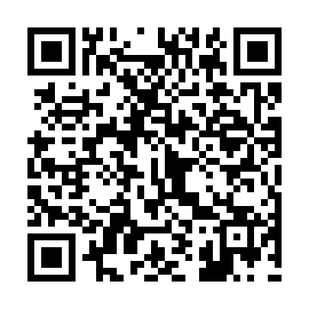 QR code for 295363